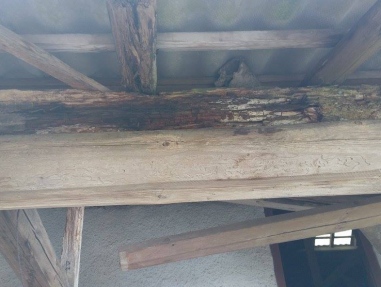 21318949_1535004319912330_3061978359246759732_o