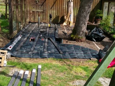 21231962_1534028043343291_7353847906136006886_n